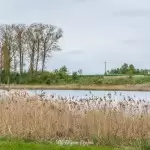 Promenada w Zakrzewie
