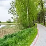 Promenada w Zakrzewie
