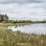 Promenada w Zakrzewie