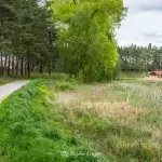 Promenada w Zakrzewie