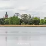 Promenada w Zakrzewie