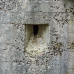 Schron nr 6