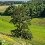 Skłony Śmiłowskie