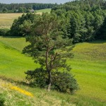Skłony Śmiłowskie