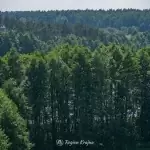 Skłony Śmiłowskie
