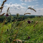 Skłony Śmiłowskie