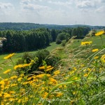 Skłony Śmiłowskie