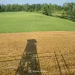 Wieża widokowa w Niechorzu