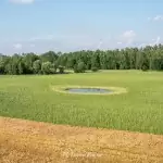 Wieża widokowa w Niechorzu