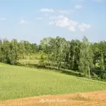 Wieża widokowa w Niechorzu