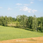 Wieża widokowa w Niechorzu