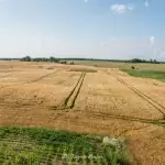 Wieża widokowa w Niechorzu