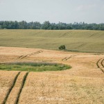 Wieża widokowa w Niechorzu