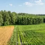 Wieża widokowa w Niechorzu