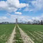 Wieża widokowa w Niechorzu