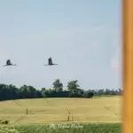 Wieża widokowa w Niechorzu