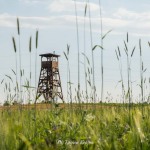 Wieża widokowa w Niechorzu
