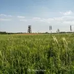 Wieża widokowa w Niechorzu