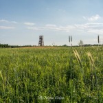 Wieża widokowa w Niechorzu