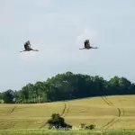 Wieża widokowa w Niechorzu