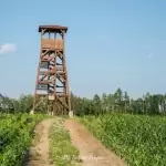 Wieża widokowa w Niechorzu