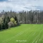 Wieża widokowa w Niechorzu