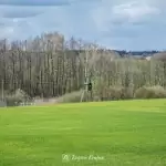 Wieża widokowa w Niechorzu