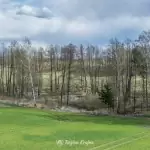 Wieża widokowa w Niechorzu