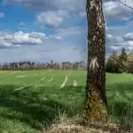 Wieża widokowa w Niechorzu