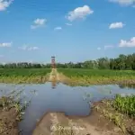 Wieża widokowa w Niechorzu