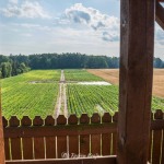 Wieża widokowa w Niechorzu