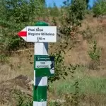 wzgorze-wilhelma-region-krajna-13