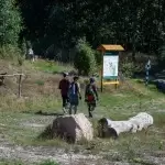 wzgorze-wilhelma-region-krajna-20