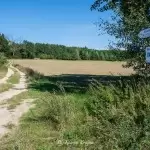 wzgorze-wilhelma-region-krajna-3