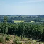 wzgorze-wilhelma-region-krajna-44