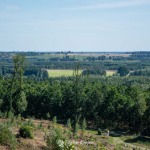 wzgorze-wilhelma-region-krajna-44