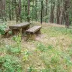 wzniesienie-czarna-gora-region-krajna-5