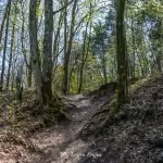 Zerwany most nad Gwdą