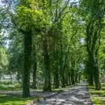 Zespół pałacowo-parkowy w Runowie Krajeńskim