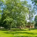 Zespół pałacowo-parkowy w Runowie Krajeńskim