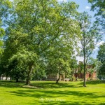 Zespół pałacowo-parkowy w Runowie Krajeńskim