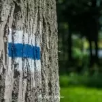 Zespół pałacowo-parkowy w Runowie Krajeńskim