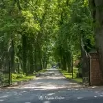 Zespół pałacowo-parkowy w Runowie Krajeńskim