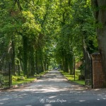 Zespół pałacowo-parkowy w Runowie Krajeńskim