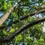 Zespół pałacowo-parkowy w Runowie Krajeńskim