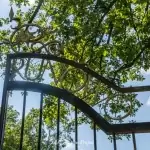 Zespół pałacowo-parkowy w Runowie Krajeńskim