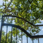 Zespół pałacowo-parkowy w Runowie Krajeńskim